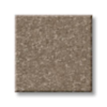 Shaw Little Neck Bay Mahogany Texture Carpet with Pet Perfect-Sample